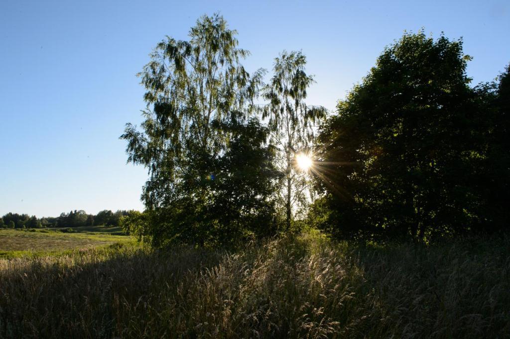 Vasekoja Holiday Center Vahtseliina Eksteriør bilde