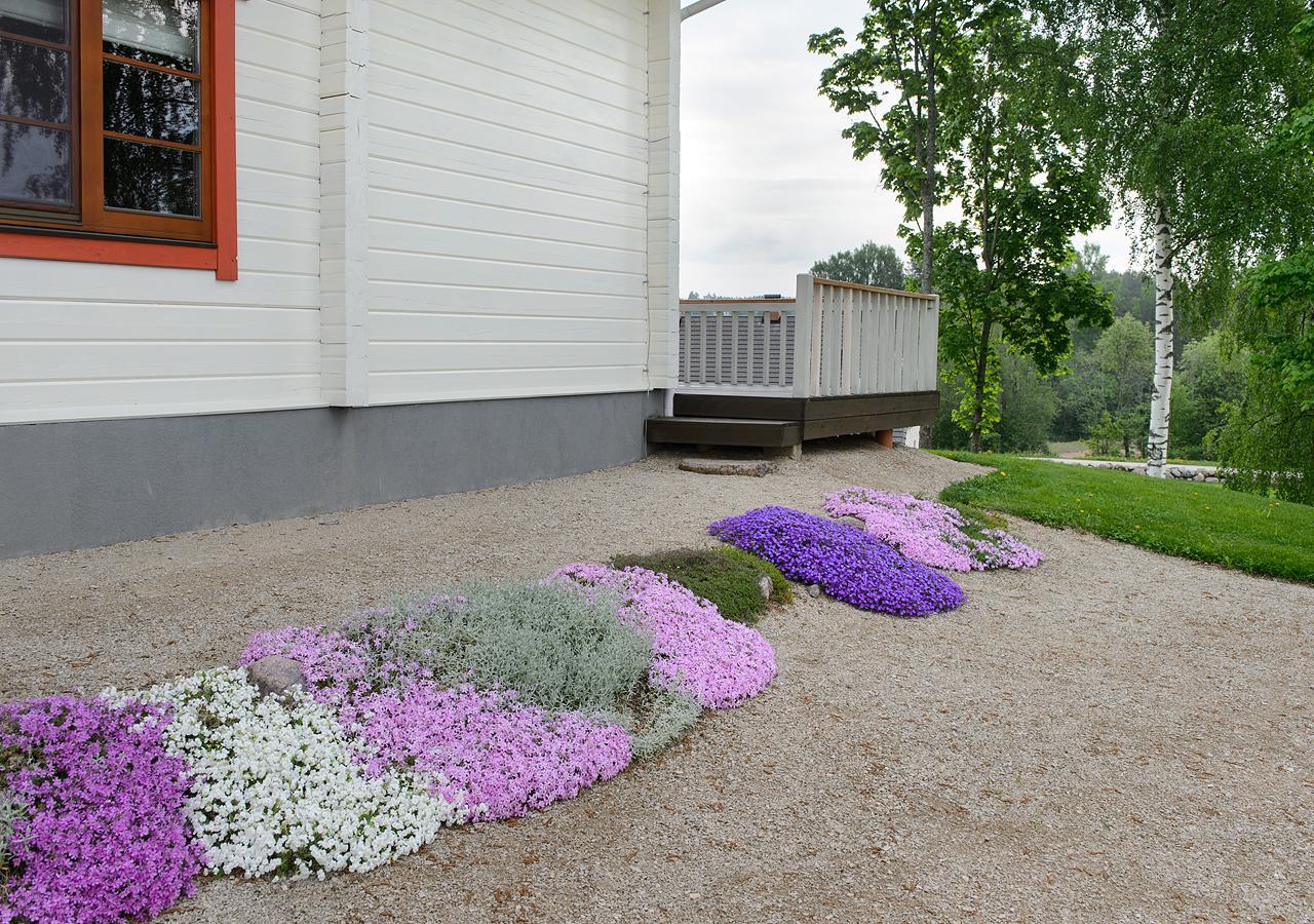 Vasekoja Holiday Center Vahtseliina Eksteriør bilde